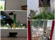 Sekolah Rusak di Pelosok Jeneponto, 71 Siswa Belajar di Tengah Keterbatasan