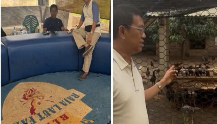 Dituding jadi Tempat Judi Sabung Ayam, Pemerhati Jakarta Sebut Raja Laut Farm (RLF) sebuah Peternakan