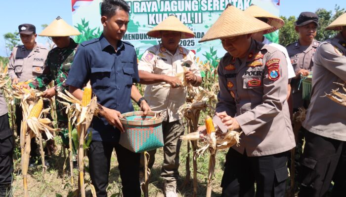 Polres Pamekasan Gelar Panen Raya Jagung Serentak Kuartal II, Dukung Swasembada Pangan Tahun 2025