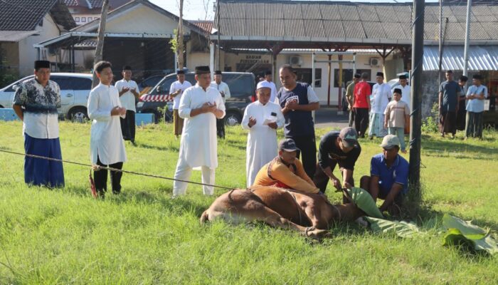 Bentuk Kepedulian, Polres Pamekasan Salurkan Daging Kurban di Hari Raya Idul Adha 1446 H/2025