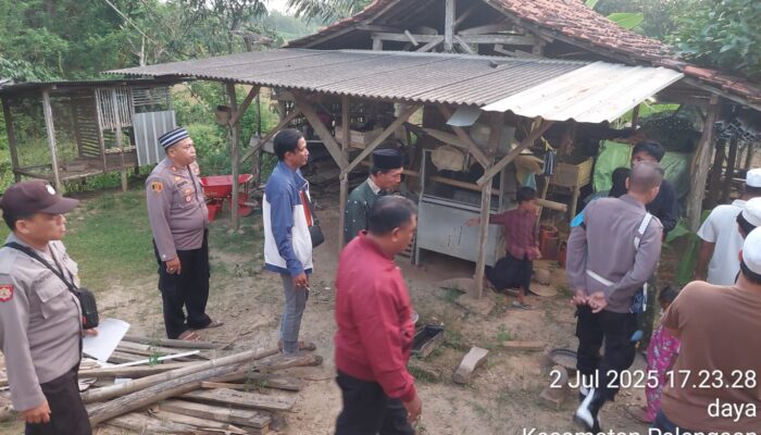 Kapolsek Palengaan Pastikan Korban Gantung Diri Di Desa Palengaan Daja Murni Bunuh Diri