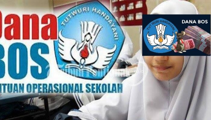 Diduga Banyak Penyimpangan ,APH Dipinta Telusuri Perincian Aliran Dana Bos SMPN 3 Cibitung