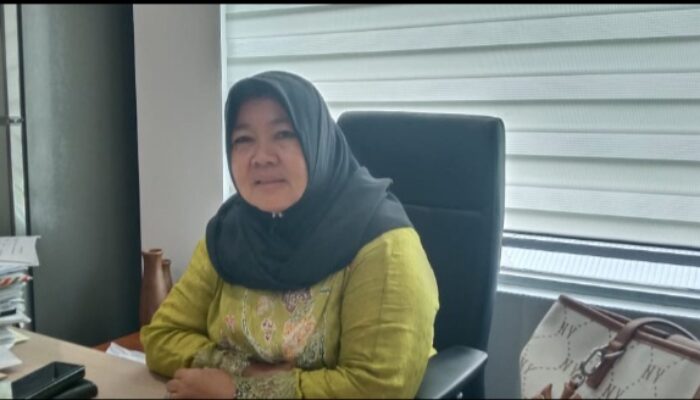 Neneng Hasanah Minta Pemprov DKI Bangun RDF Skala Kecil di Pulau Seribu