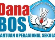 Diduga Banyak Penyimpangan ,APH Dipinta Telusuri Perincian Aliran Dana Bos SDN 22 Bilah Barat