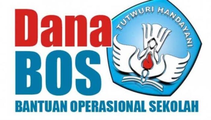 Diduga Banyak Penyimpangan ,APH Dipinta Telusuri Perincian Aliran Dana Bos SDN 22 Bilah Barat