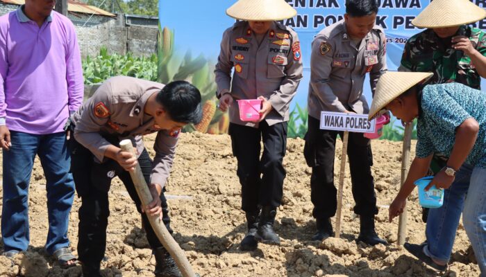 Polres Pamekasan Dukung Ketahanan Pangan, Penanaman Jagung Bersama Santri Serentak Se-Jatim
