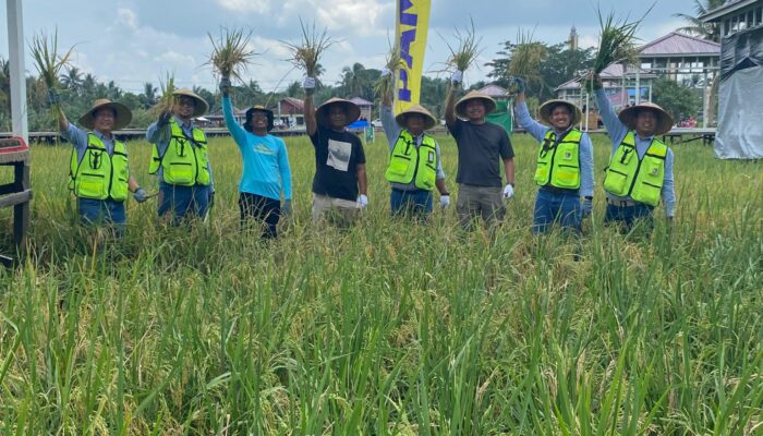 Desa Teluk Pandan Jadi Percontohan, Sukses Integrasi Program Bupati Kutim Di Sektor Pertanian