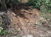 Tingkatkan Infrastruktur Jalan Desa Melalui BankeuDes,Ketua RT 01 Dsn Damai Makmur : Mari Kita Jaga Dan Rawat Hasil Pembangunan