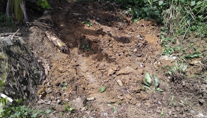 Tingkatkan Infrastruktur Jalan Desa Melalui BankeuDes,Ketua RT 01 Dsn Damai Makmur : Mari Kita Jaga Dan Rawat Hasil Pembangunan