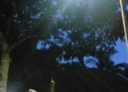 Lampu Penerangan Jalan Di RT 04 Dsn Danau Redan Telah Rampung, Ketua RT 04 : Semua Demi Kelancaran Dan Keamanan Warga