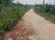 BankeusDes Rp 250 Juta Per RT Percepatan Insfrastruktur,Akhirnya Warga RT 04,Dsn Danau Redan Bisa Nikmati Penerangan Jalan