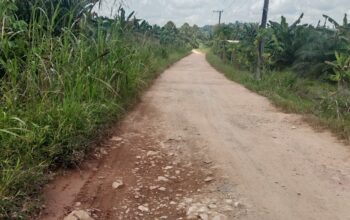 BankeusDes Rp 250 Juta Per RT Percepatan Insfrastruktur,Akhirnya Warga RT 04,Dsn Danau Redan Bisa Nikmati Penerangan Jalan