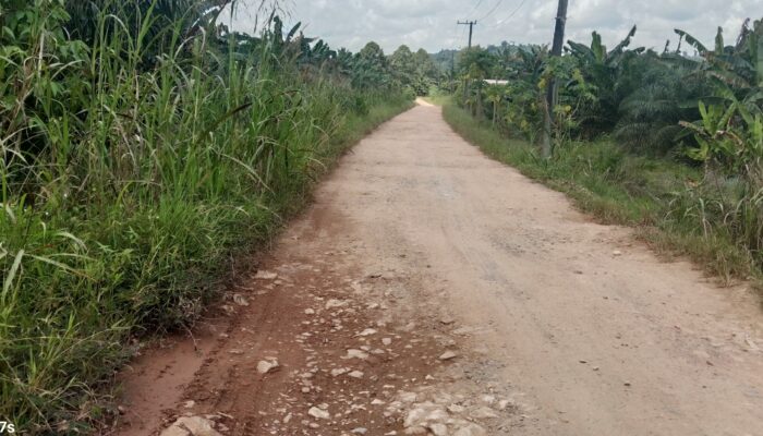 BankeusDes Rp 250 Juta Per RT Percepatan Insfrastruktur,Akhirnya Warga RT 04,Dsn Danau Redan Bisa Nikmati Penerangan Jalan