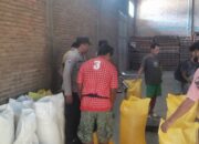 Personel Polsek Pana Kawal Pengiriman 1,5 Ton Jagung ke BULOG Polewali Mandar