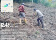 Semangat Ketahanan Pangan: Warga Desa Minanga Timur Laksanakan Penanaman Jagung