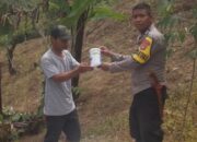 Bhabinkamtibmas Polsek Sumarorong Salurkan Bantuan Pupuk dan Racun Hama untuk Dukung Ketahanan Pangan Petani Jagung di Mamasa
